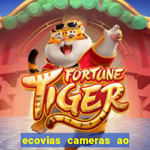 ecovias cameras ao vivo santos